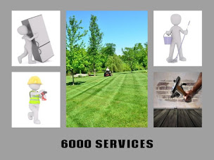 Photo n°8 de 6000 Services (Simille) à Champniers (Service d'élagage)