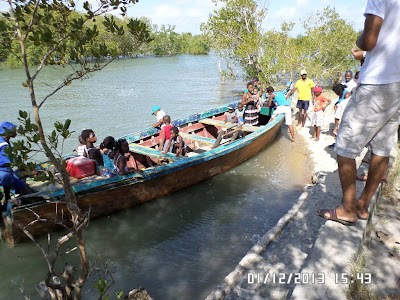 Photos of Rio Savane Lodge & Camp