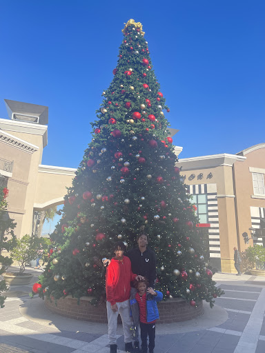 Vivid Scenes llc (Sprinkle)image Gallery - United States