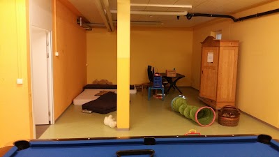Photos of Camping Seehorn