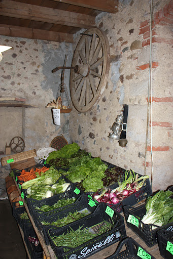Cascina Artuso - Thumbnail