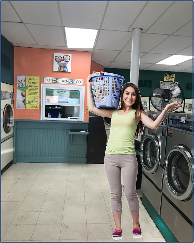Lily Pad Laundry Co laundromat interior in Columbia, MO