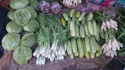 Photos of Myo Ma Zay Gyi