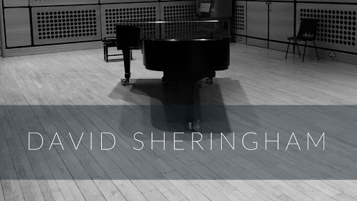 David Sheringham - Singing Lessons and Music Theory Tutoring Logo