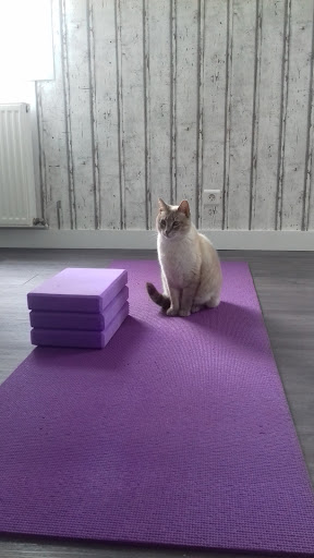 Pause Yoga Gallery - France