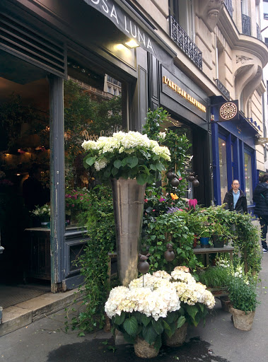 Rosa Luna Florist - Thumbnail