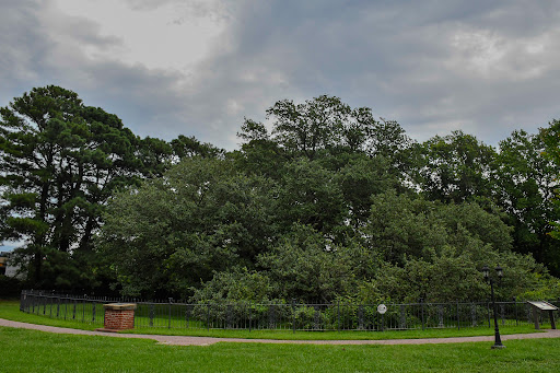 Emancipation Oak - Visual