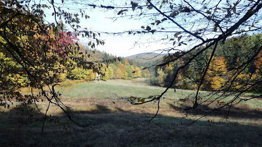 Vessertal - Thumbnail