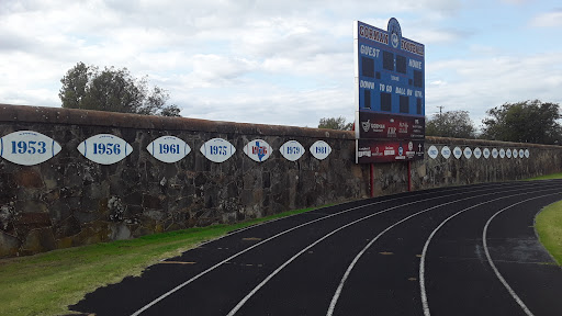 Brogden Field - Visual