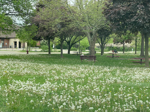 Goudy Park - Thumbnail