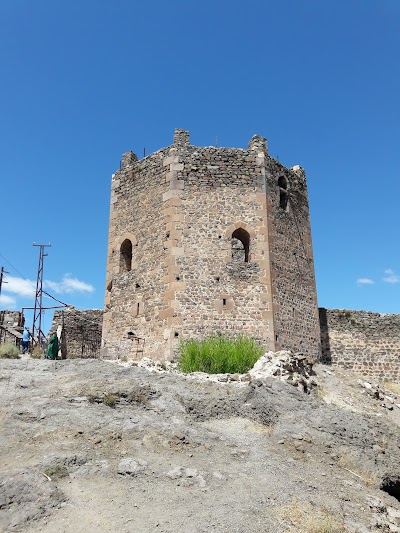 Şebinkarahisar Castle