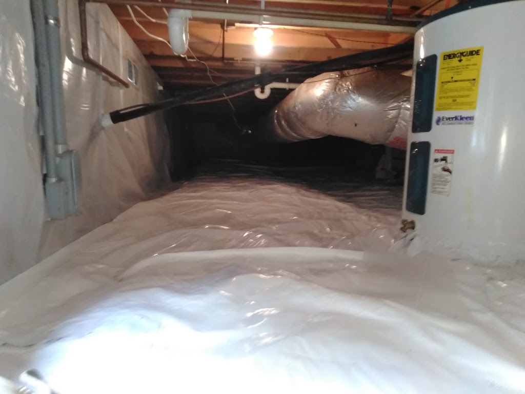 Prime Remediation and Mold Removal LLC photo