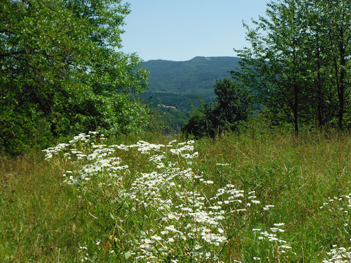 Staufenberger Grossenberg - Thumbnail