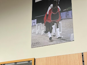 Photo n°17 de PADD Meaux à Meaux (Magasin de matériel d'équitation)