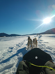 Photo n°30 de Gites les carlines demi pension et gestion libre à Vassieux-en-Vercors (Hôtel)