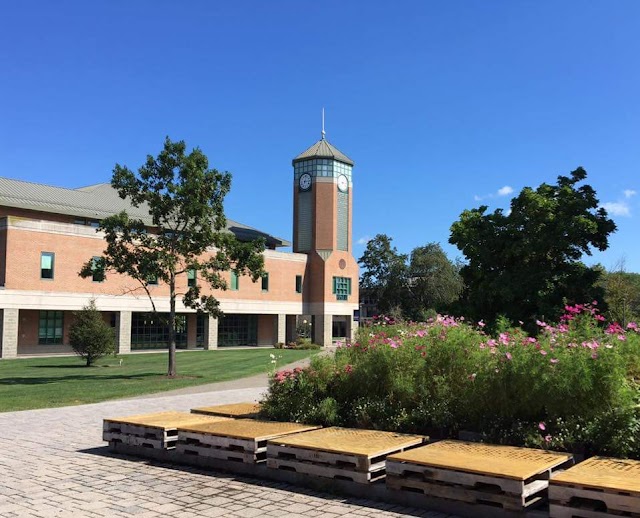 Roger Williams University