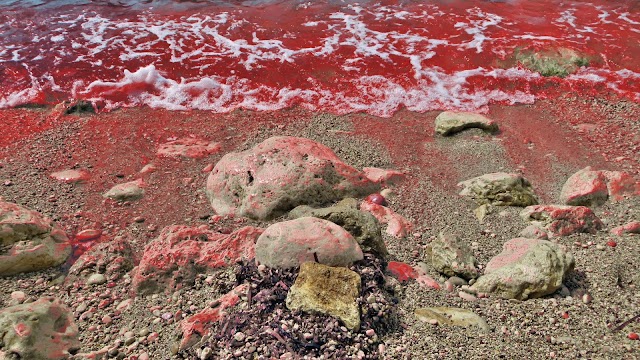 Ampelaki Beach