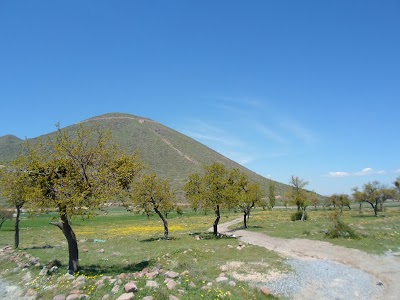 Mount Ali