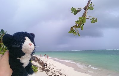 Photos of Cabeza de Toro Beach
