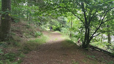 Photos of Klosterheden Woods