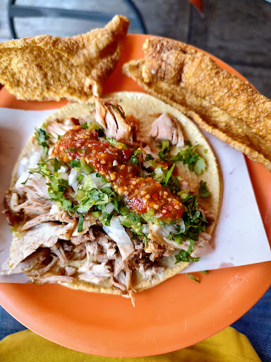 CARNITAS "PAME" Gallery - Mexico