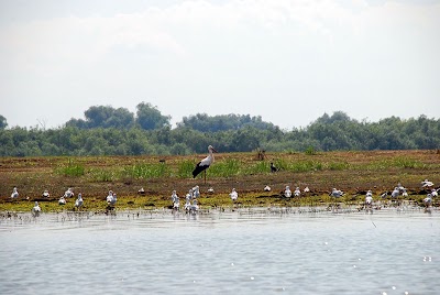 Photos of Lower Prut Natural Reservation