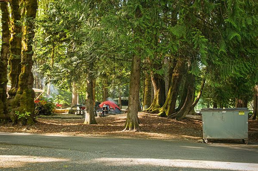 Potlatch State Park - Visual
