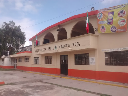 Delegación Municipal Mangas