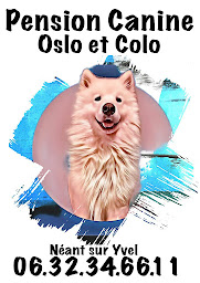 Photo n°13 de Pension Canine Oslo et Colo et Elevage le furet colo à Néant-sur-Yvel (Garde d'animaux de compagnie)