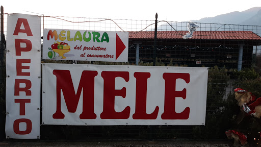 Melaura - Thumbnail