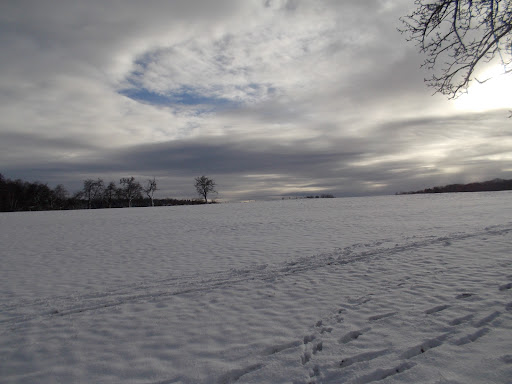 Parkplatz Rauberweide - Thumbnail