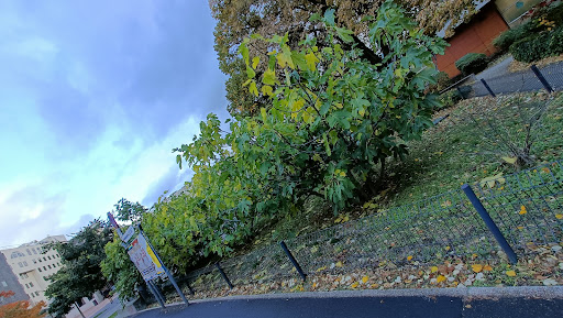 Fruits à partager - Thumbnail