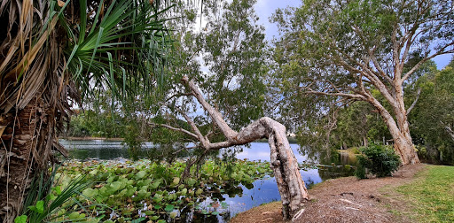 Riverside Green Offleash Dog Park - Thumbnail
