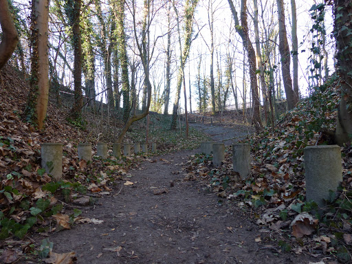 Friedhof Markwerben