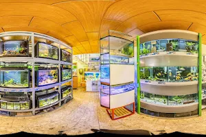 AquaCux by Zierfischzucht E&S image