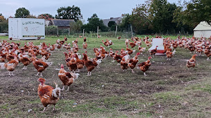 Photo n°2 de Le Clos du Moulin à Mauron (Abattoir)