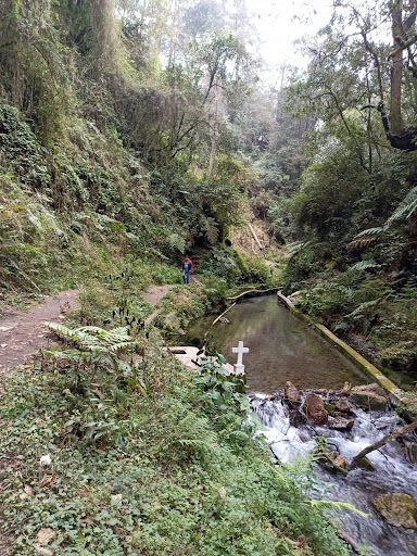 Cascada de Pancho Poza - Thumbnail