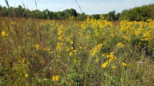 Bois D'Arc Conservation Area