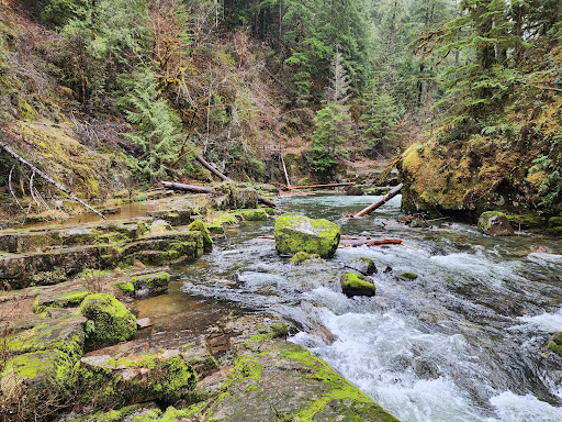 Brice Creek Falls Trailhead