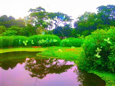 Photos of Chinair Bazar