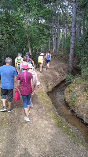 Les Balades du Conflent - Thumbnail
