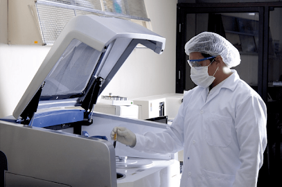 BERMANLAB Piura Grau