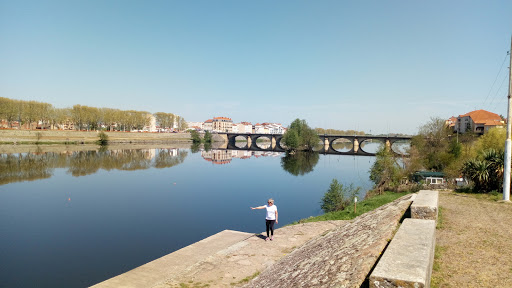 Rowing Roanne Le Coteau