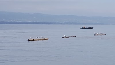 Photos of Plage d'Hermance