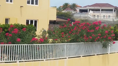 Photos of Bananas Apartments