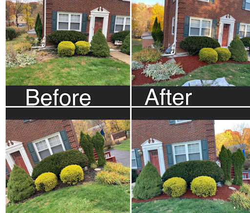 Detailed Duos Cleaning & Landscaping - Thumbnail