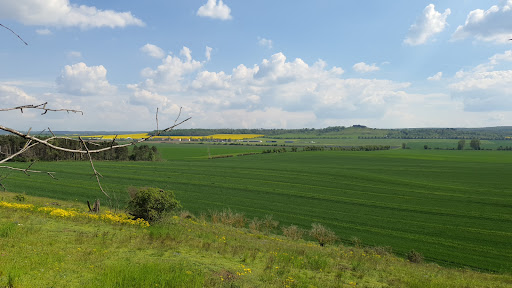 Der Langenberg - Thumbnail