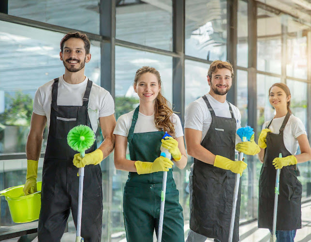 Hanse One Gebäudereinigung