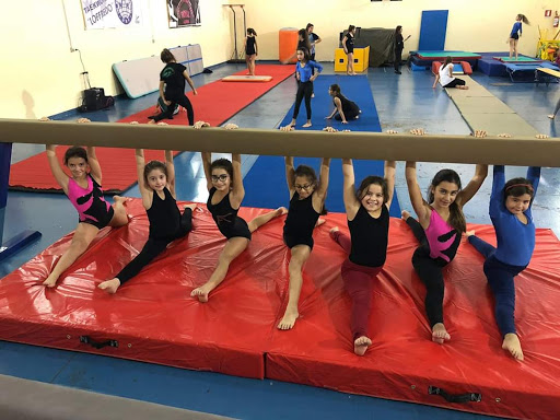 Ginnastica Artistica Royal