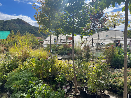 Jardins de Chartreuse - Thumbnail